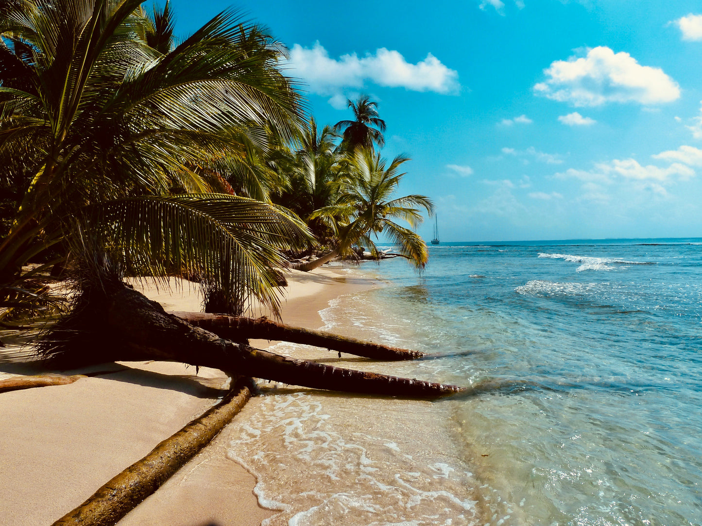 4-Day Remote CME Course – Earn Credits While Enjoying a Tropical Getaway