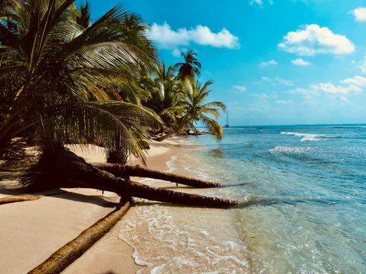 4-Day Remote CME Course – Earn Credits While Enjoying a Tropical Getaway